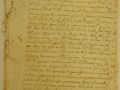 1 sur 3, document avec galeries d'insectes.JPG
